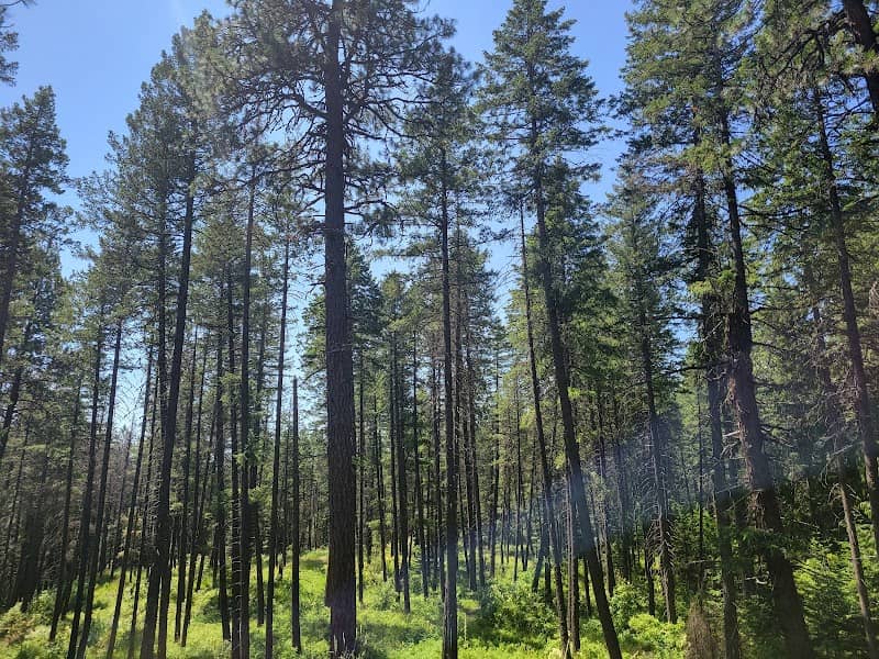 Upper Wolf Trailhead - Image 1