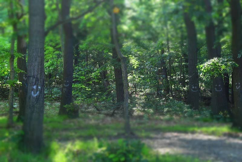 Cranduro Trail - Image 2