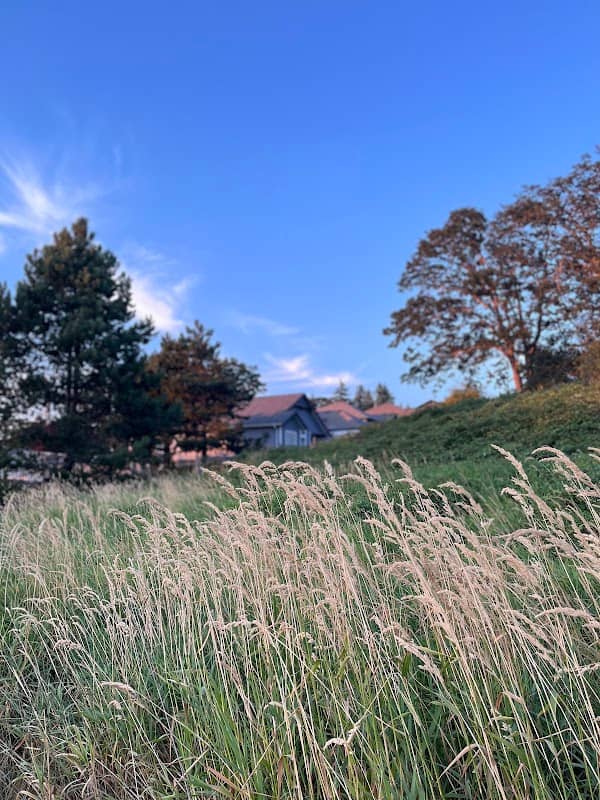 Baxter Park - Image 1