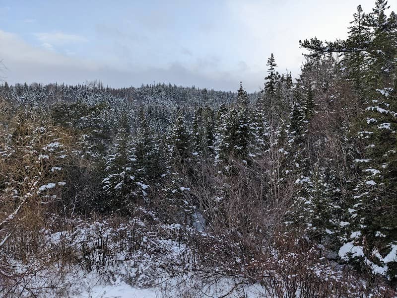Hemlock Trail- Strait Area Community trail - Image 2