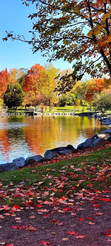 Stauffer Swan Pond - Image 1