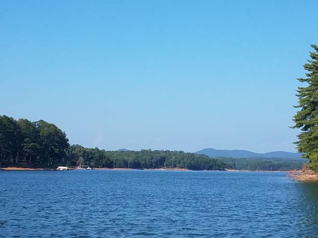 Rope swing - Image 1