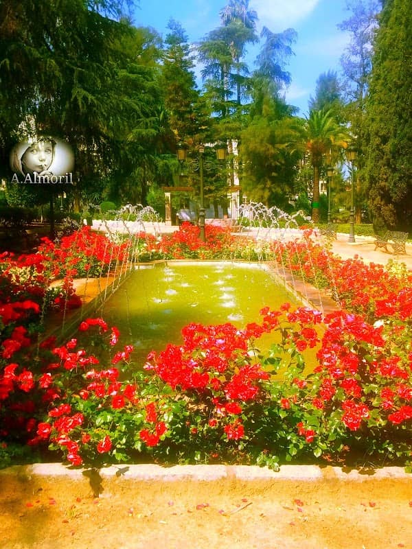 Espolón Park - Image 2