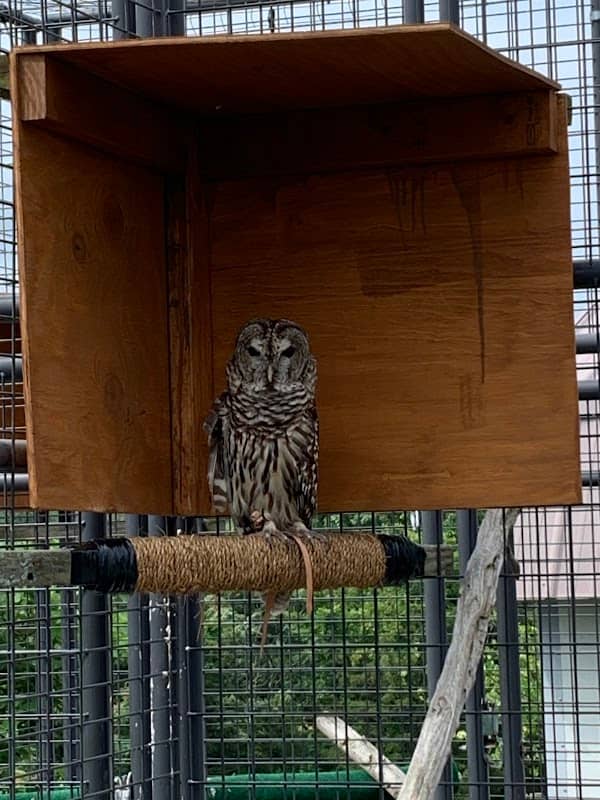 Liberty Nature Center - Image 2
