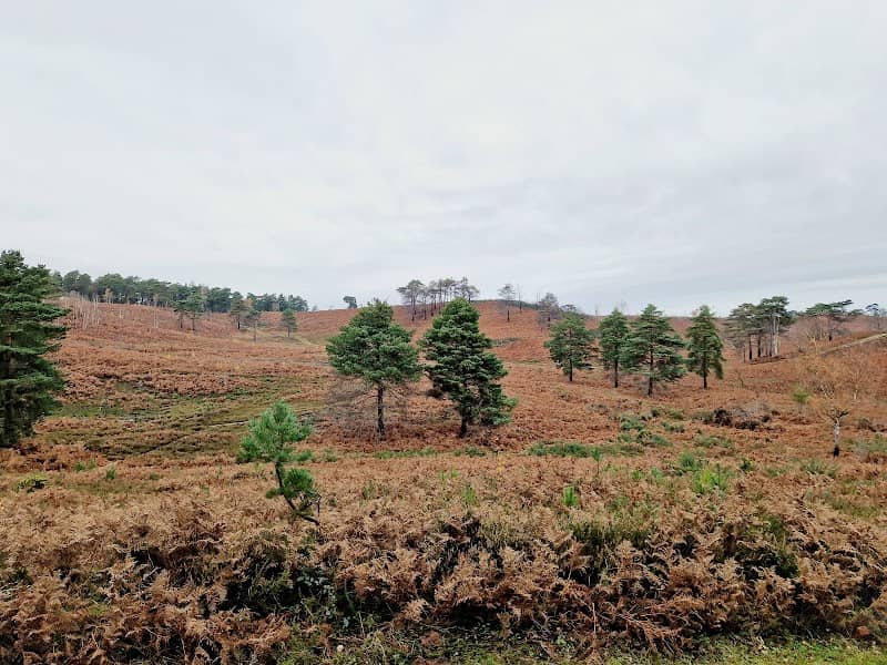 Ash Ranges - Image 1