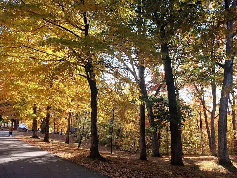 Henry County Memorial Park - Image 1