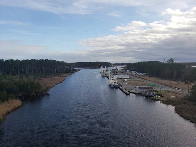 Goose Creek Game Land - Image 1