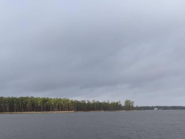 Goose Creek Game Land - Image 2