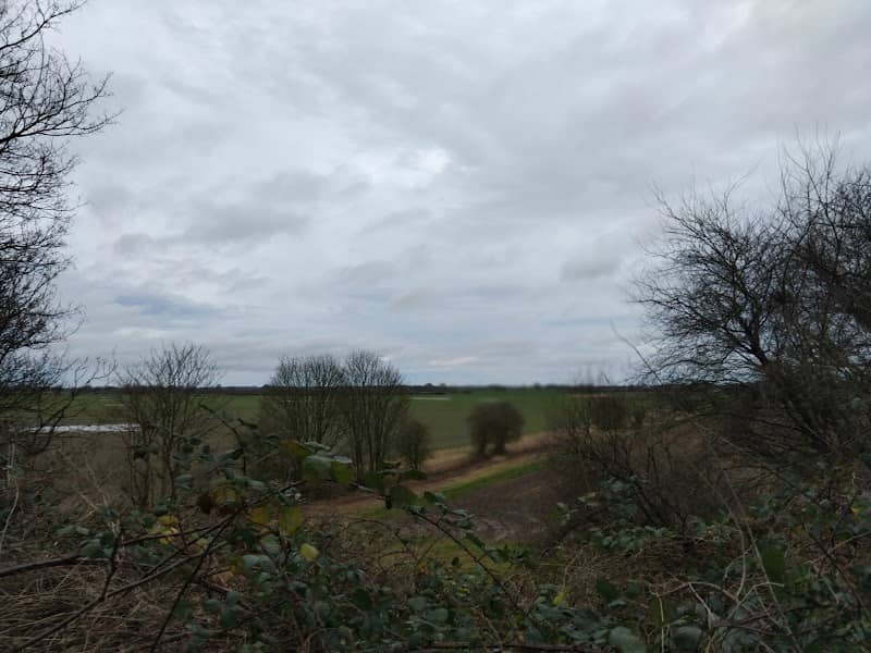 Log Lands Nature Reserve - Image 1