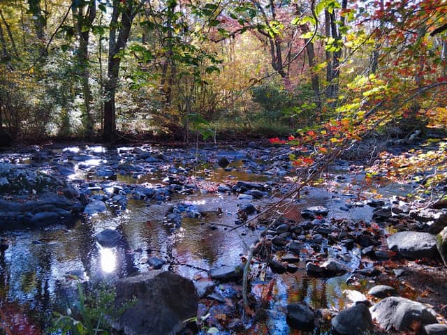 Yantic River Walk - Image 2