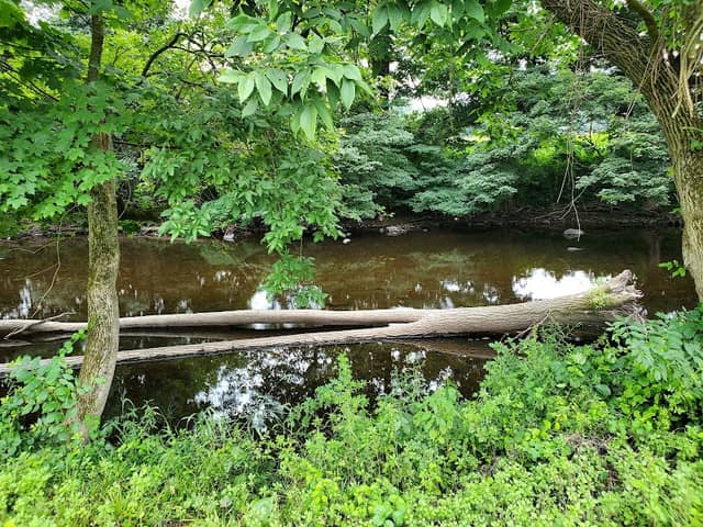 Yantic River Walk - Image 1