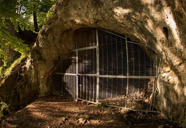 Brillenhöhle - Image 2
