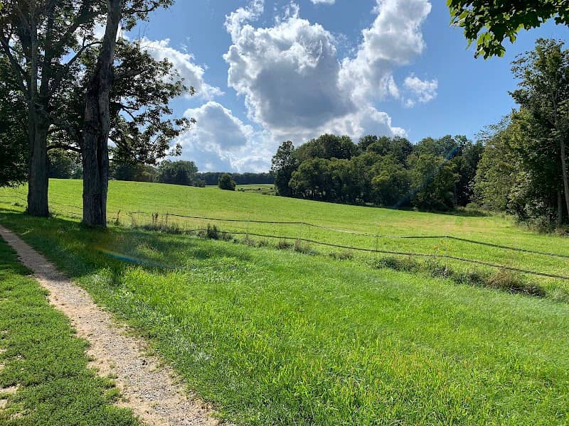 The Mile-Around Woods - Image 1
