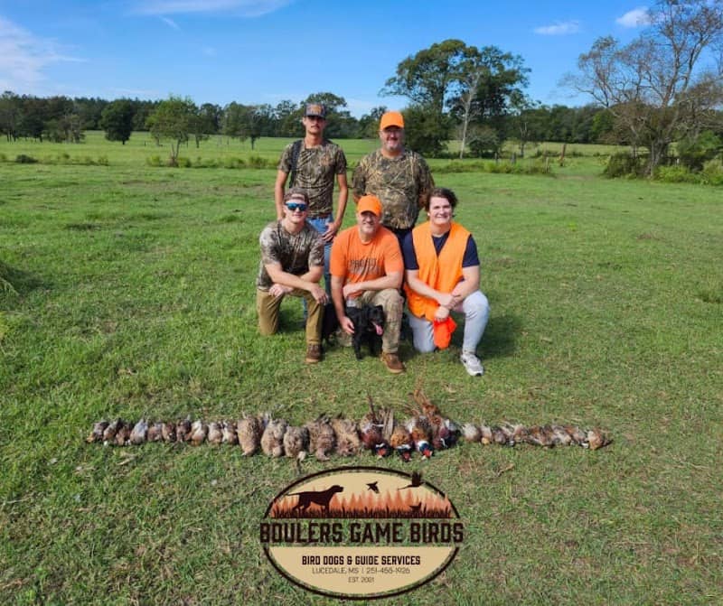 Boulers Game Birds, Bird Dogs and Guide Service - Image 2