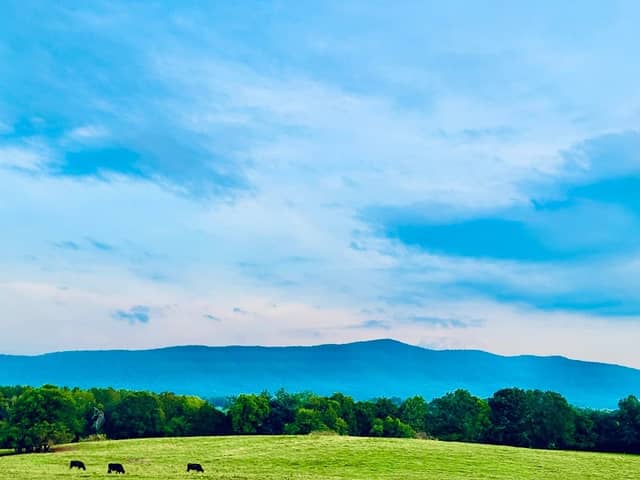 Dugger Mountain Wilderness - Image 2