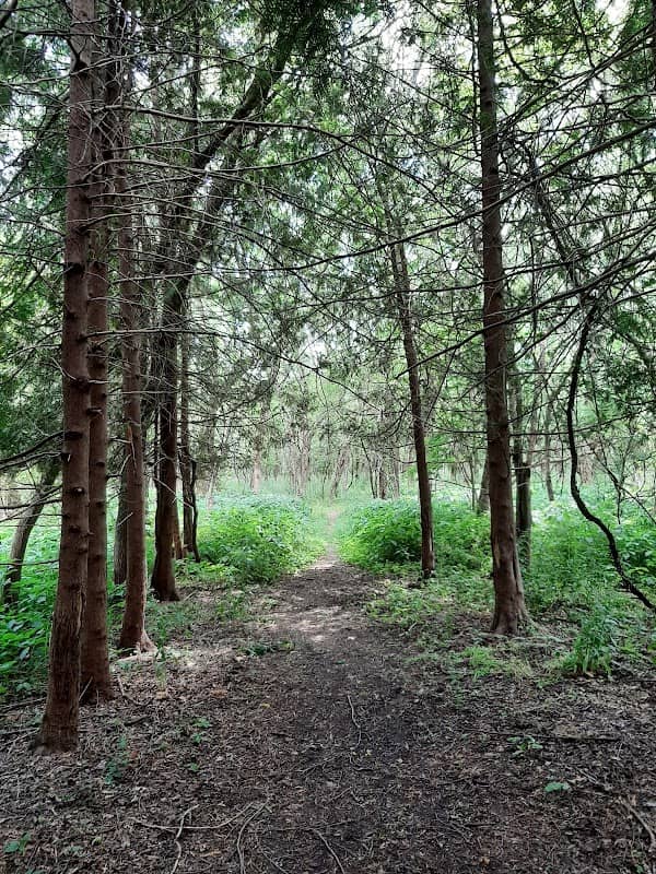 Turtle Creek Moccasin Trail - Image 2