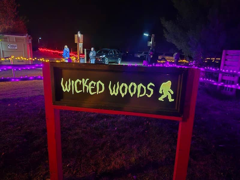 Wicked Woods - Image 1
