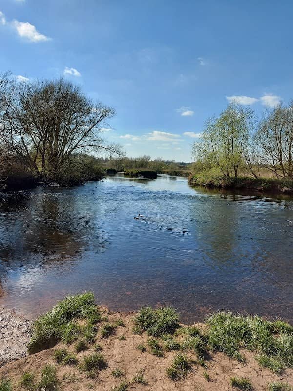Dosthill Park - Image 1