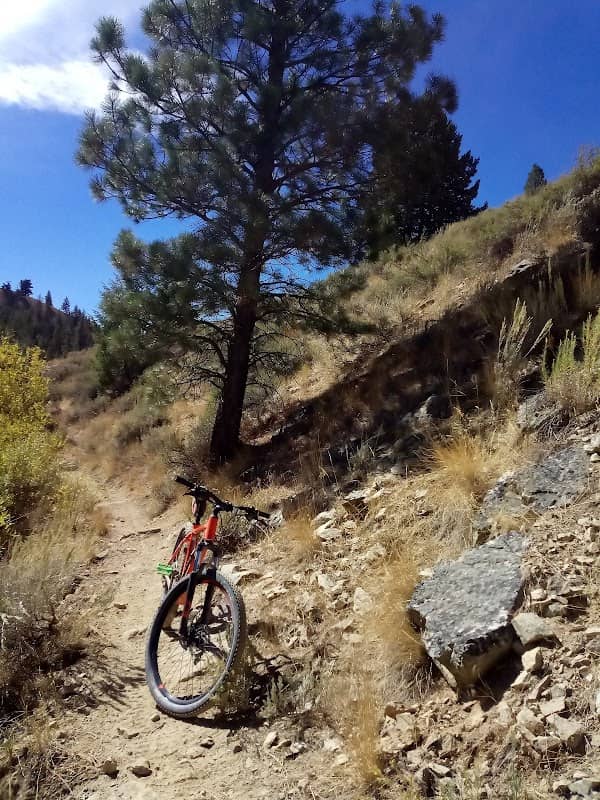 Lime Creek Campground - Image 1