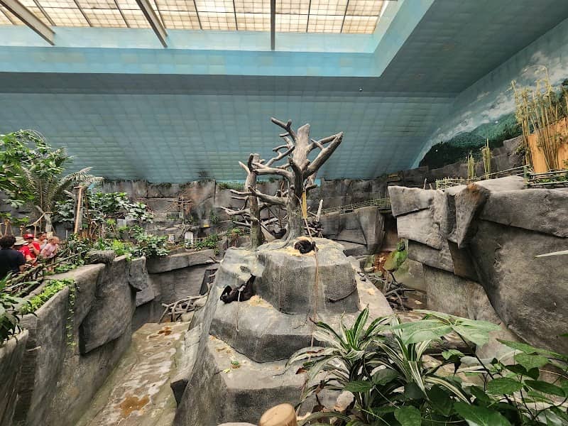 Tropic World - Image 1