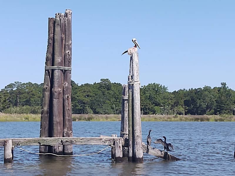 Bay John - Image 1