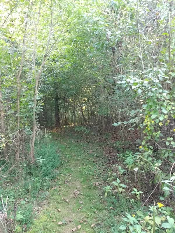 Mary Ingles Trail - Image 1