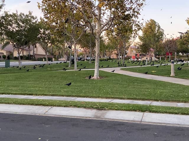 Sunshine Park - Image 1