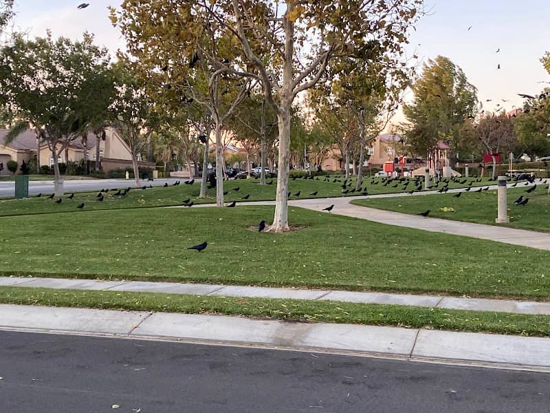 Sunshine Park - Image 1