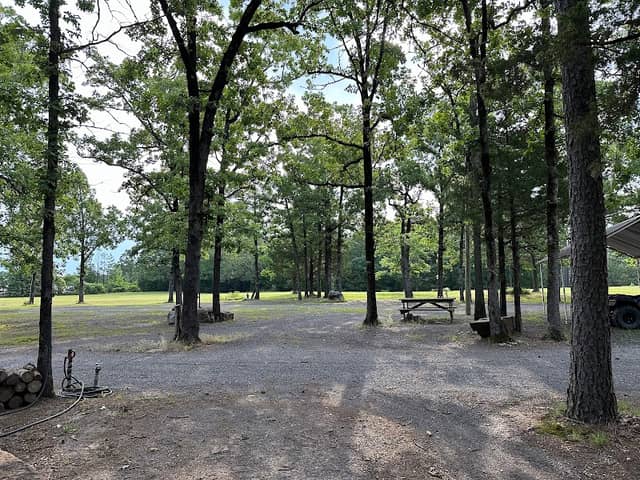Wildwoodz - Image 2