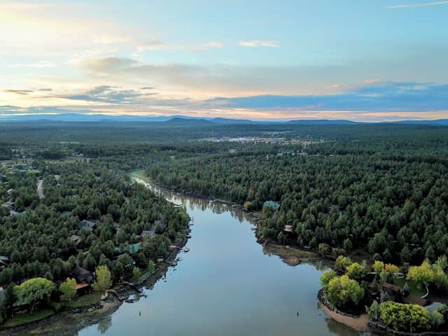 Pinetop - Image 2