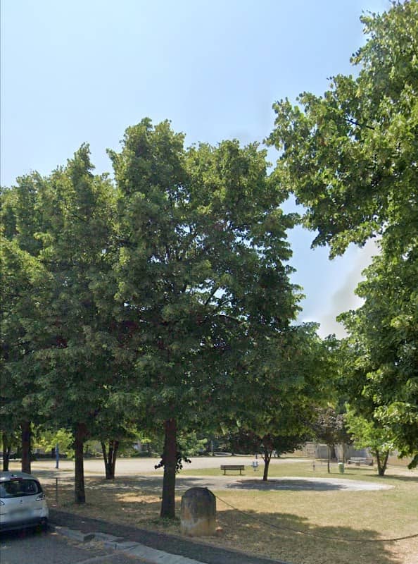 PARCO "MARCOLINI NUOVE" - Image 1
