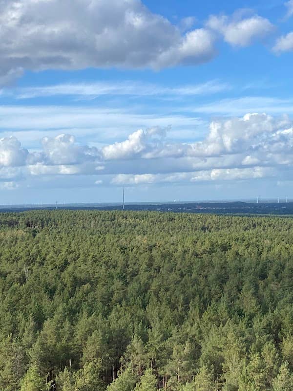 Aussichtsturm Calauer Schweiz; Luckaitztaler Ziegelturm - Image 2