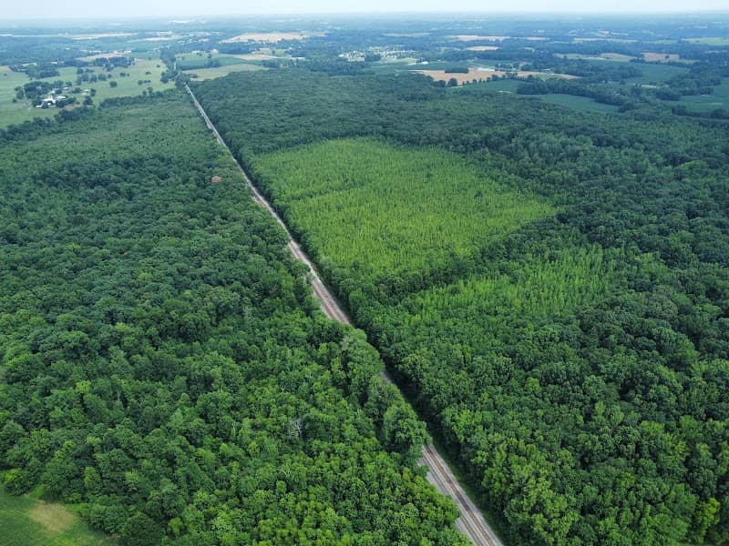 Cedar Hill Swamp WMA - Image 1