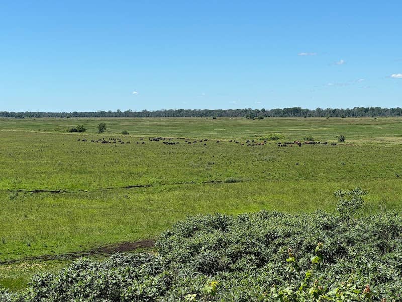 Leola Marsh State Wildlife Area - Image 1