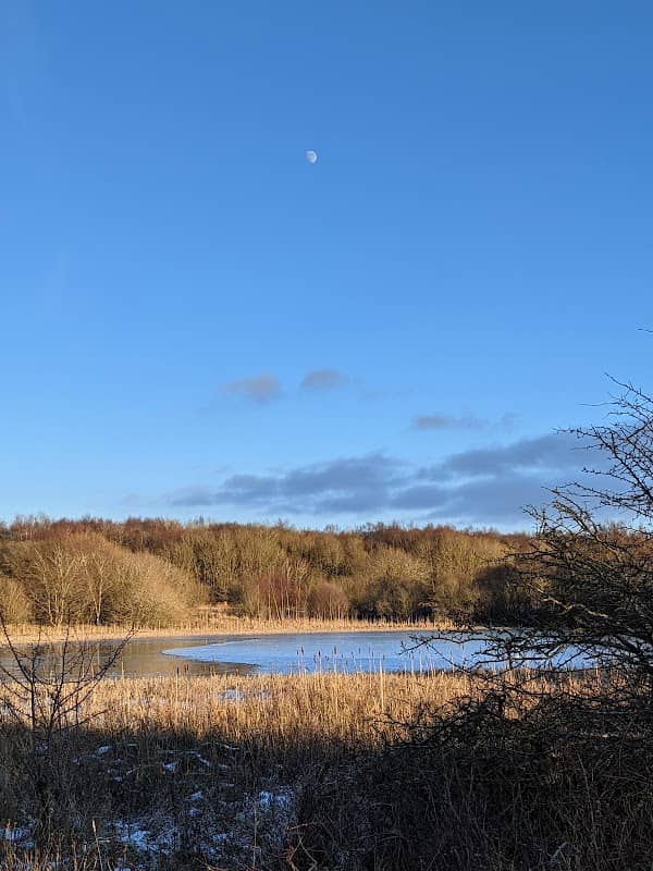 Perchy Pond Wishaw - Image 2