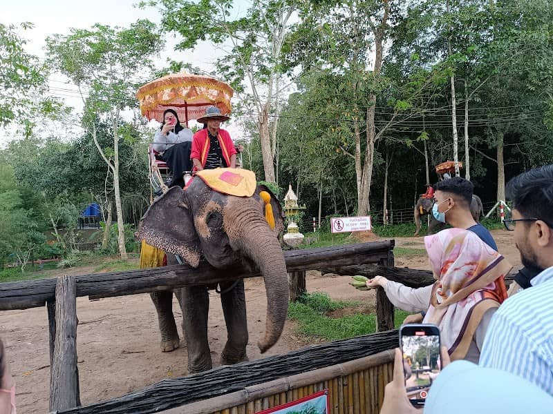 Chang Puak Elephant Camp Hat Yai - Image 1