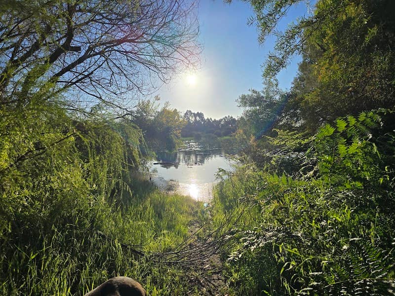 Mitzi Swamp Reserve - Image 2