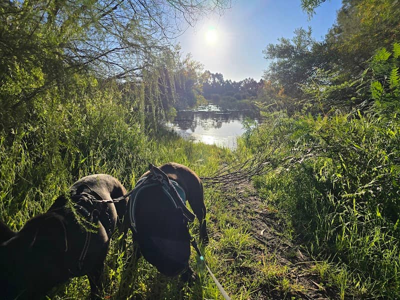 Mitzi Swamp Reserve - Image 1