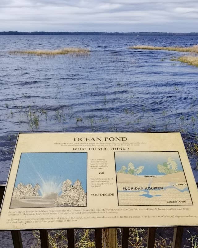 Olustee Beach - Osceola National Forest - Image 2