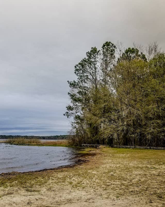 Olustee Beach - Osceola National Forest - Image 1