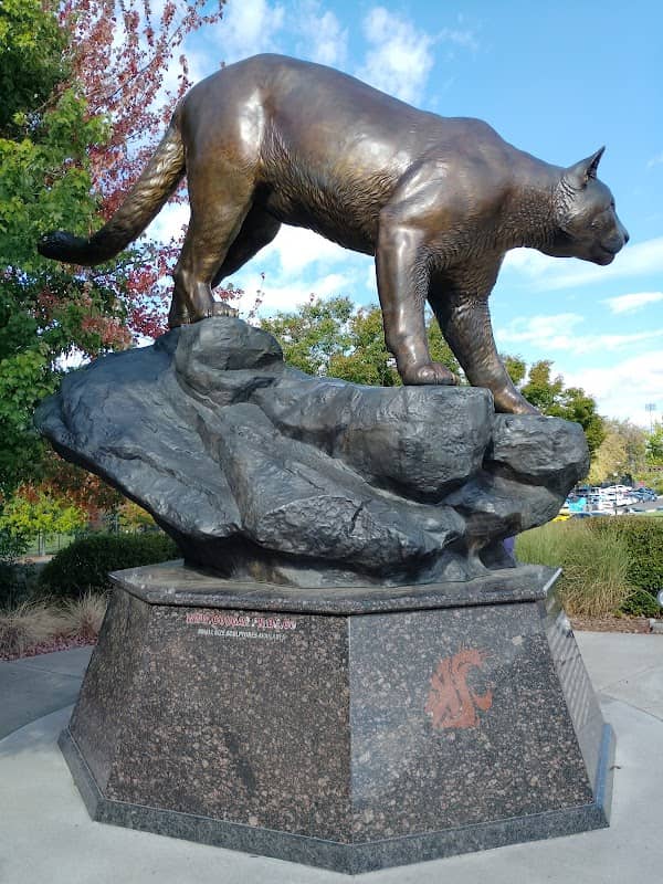 Cougar Pride Statue - Image 1