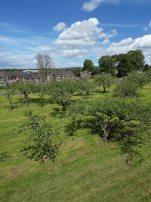 The Orchard Fountain Hill Antrim - Image 1