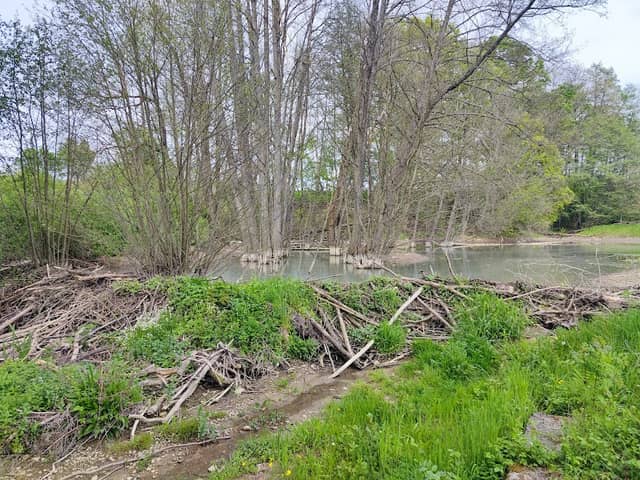 Biberstaudamm Gunzendorf - Image 1