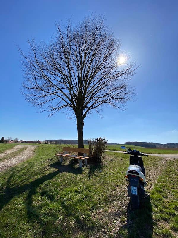 Aussichtspunkt mit Bänkle - Image 1
