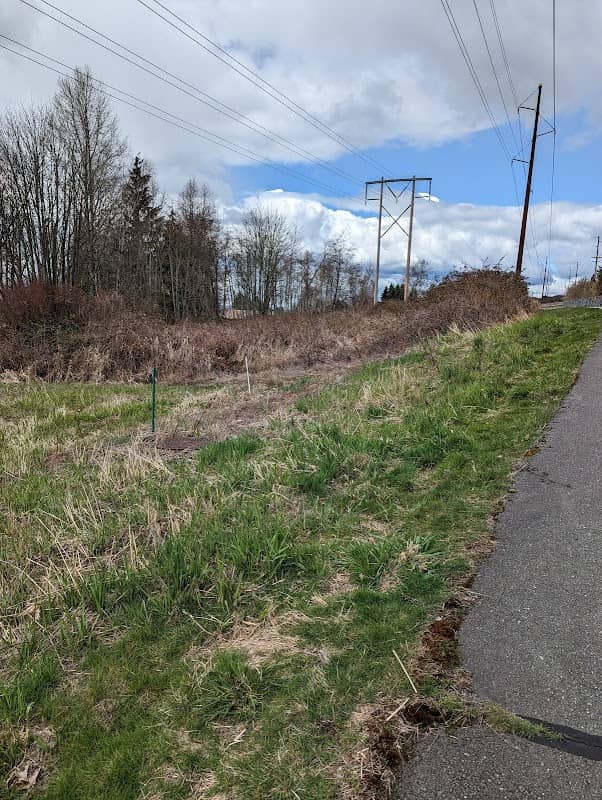 Northpointe East Park - Image 1