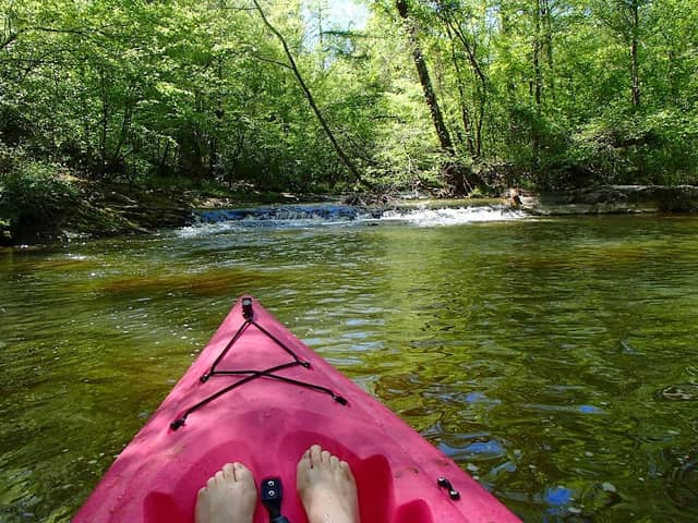 Long Island Paddle Sports - Image 1
