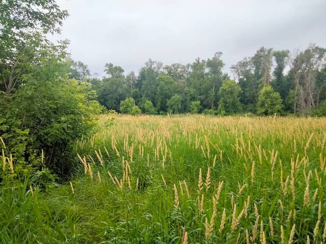 Ponte's Park - Image 1