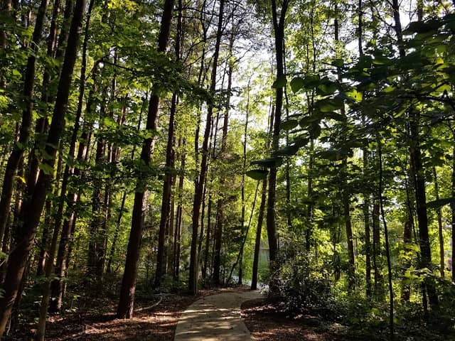 Jetton Road Neighborhood Park - Image 2