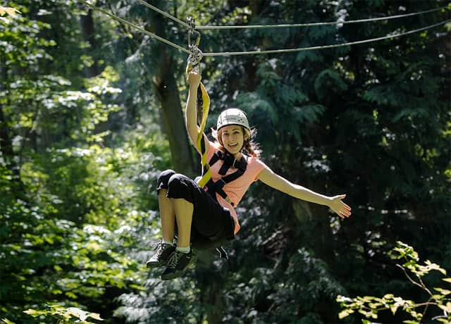 Canopy Tours NW - Zipline Tour, Team Building Challenge Course - Image 2