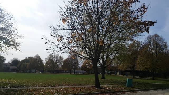 Suburban East Park - Image 1